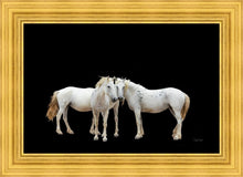 Load image into Gallery viewer, Three White Horses
