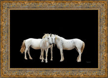 Load image into Gallery viewer, Three White Horses
