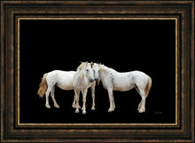 Load image into Gallery viewer, Three White Horses
