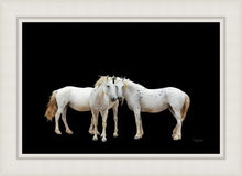 Load image into Gallery viewer, Three White Horses
