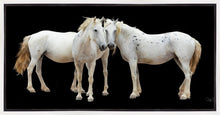 Load image into Gallery viewer, Three White Horses
