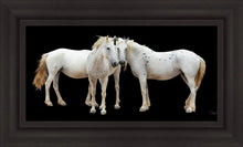 Load image into Gallery viewer, Three White Horses
