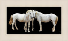 Load image into Gallery viewer, Three White Horses
