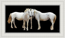 Load image into Gallery viewer, Three White Horses
