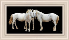 Load image into Gallery viewer, Three White Horses
