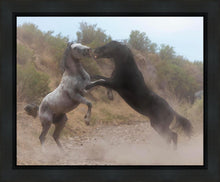 Load image into Gallery viewer, Fight In The Wash
