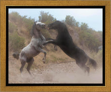 Load image into Gallery viewer, Fight In The Wash

