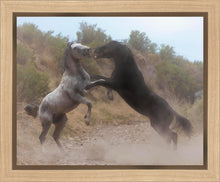Load image into Gallery viewer, Fight In The Wash
