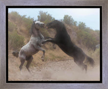 Load image into Gallery viewer, Fight In The Wash
