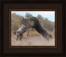 Load image into Gallery viewer, Fight In The Wash
