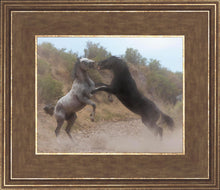 Load image into Gallery viewer, Fight In The Wash
