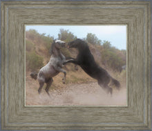 Load image into Gallery viewer, Fight In The Wash

