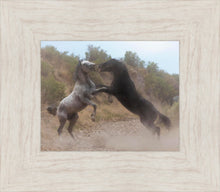Load image into Gallery viewer, Fight In The Wash
