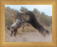 Load image into Gallery viewer, Fight In The Wash
