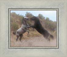 Load image into Gallery viewer, Fight In The Wash
