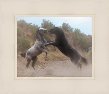 Load image into Gallery viewer, Fight In The Wash
