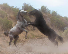 Load image into Gallery viewer, Fight In The Wash
