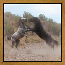 Load image into Gallery viewer, Fight In The Wash
