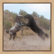 Load image into Gallery viewer, Fight In The Wash
