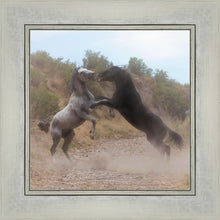 Load image into Gallery viewer, Fight In The Wash
