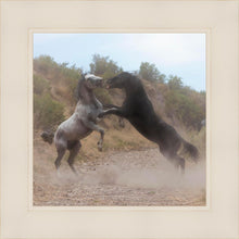 Load image into Gallery viewer, Fight In The Wash
