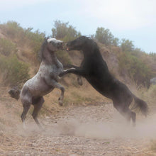 Load image into Gallery viewer, Fight In The Wash
