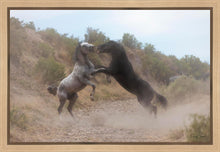 Load image into Gallery viewer, Fight In The Wash
