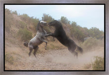 Load image into Gallery viewer, Fight In The Wash
