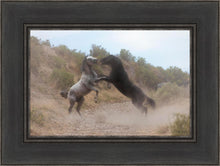 Load image into Gallery viewer, Fight In The Wash
