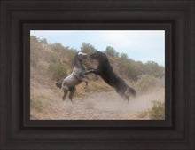 Load image into Gallery viewer, Fight In The Wash
