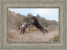 Load image into Gallery viewer, Fight In The Wash

