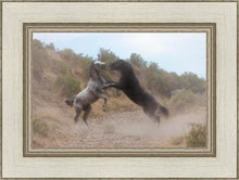 Load image into Gallery viewer, Fight In The Wash
