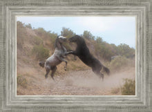 Load image into Gallery viewer, Fight In The Wash
