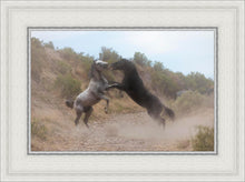 Load image into Gallery viewer, Fight In The Wash
