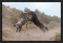 Load image into Gallery viewer, Fight In The Wash
