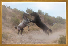 Load image into Gallery viewer, Fight In The Wash

