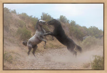 Load image into Gallery viewer, Fight In The Wash
