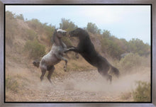 Load image into Gallery viewer, Fight In The Wash
