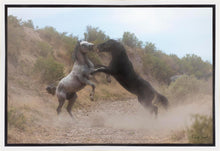 Load image into Gallery viewer, Fight In The Wash
