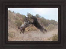 Load image into Gallery viewer, Fight In The Wash
