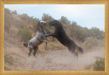 Load image into Gallery viewer, Fight In The Wash
