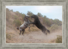 Load image into Gallery viewer, Fight In The Wash
