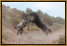 Load image into Gallery viewer, Fight In The Wash

