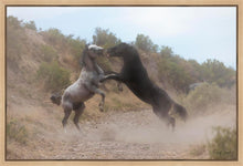 Load image into Gallery viewer, Fight In The Wash
