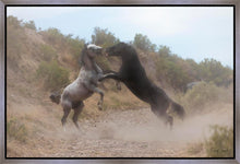 Load image into Gallery viewer, Fight In The Wash
