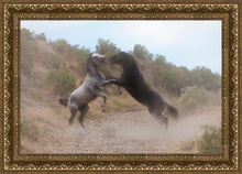 Load image into Gallery viewer, Fight In The Wash
