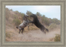 Load image into Gallery viewer, Fight In The Wash
