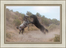 Load image into Gallery viewer, Fight In The Wash
