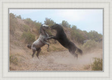 Load image into Gallery viewer, Fight In The Wash
