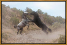 Load image into Gallery viewer, Fight In The Wash
